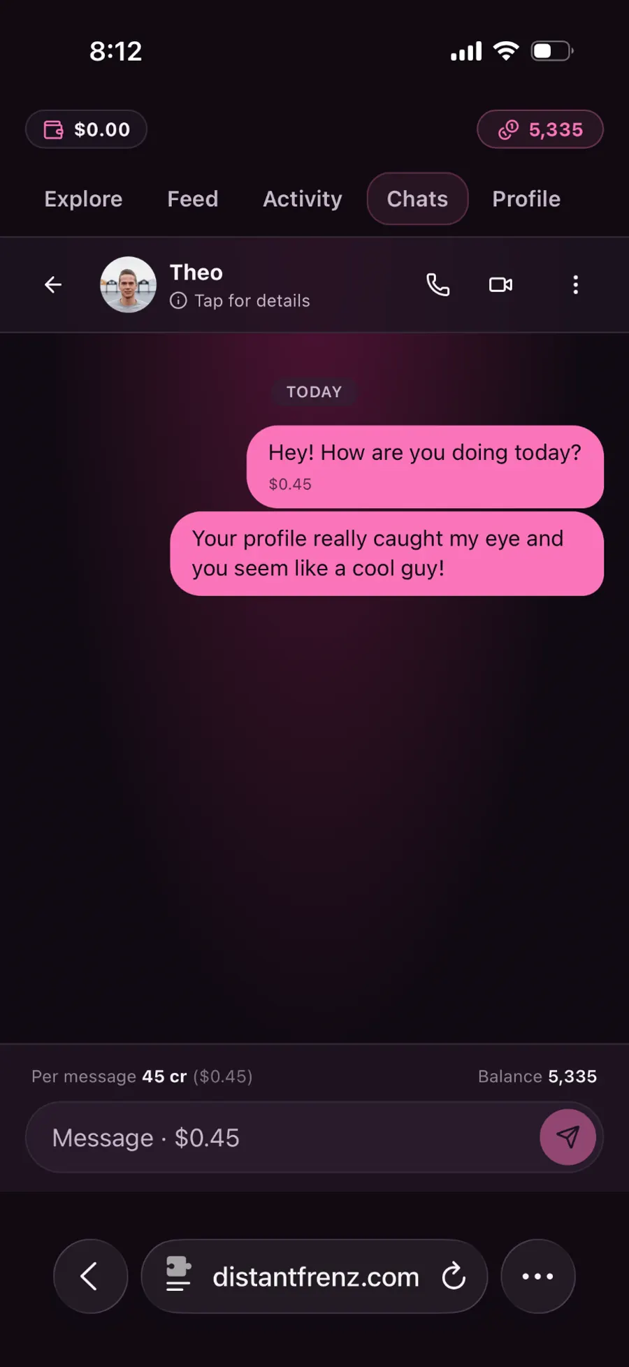 DistantFrenz chat conversation